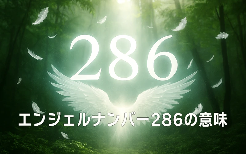 【エンジェルナンバー286の意味】霊的な導きと信頼が豊かさを育てる静かな泉🌸